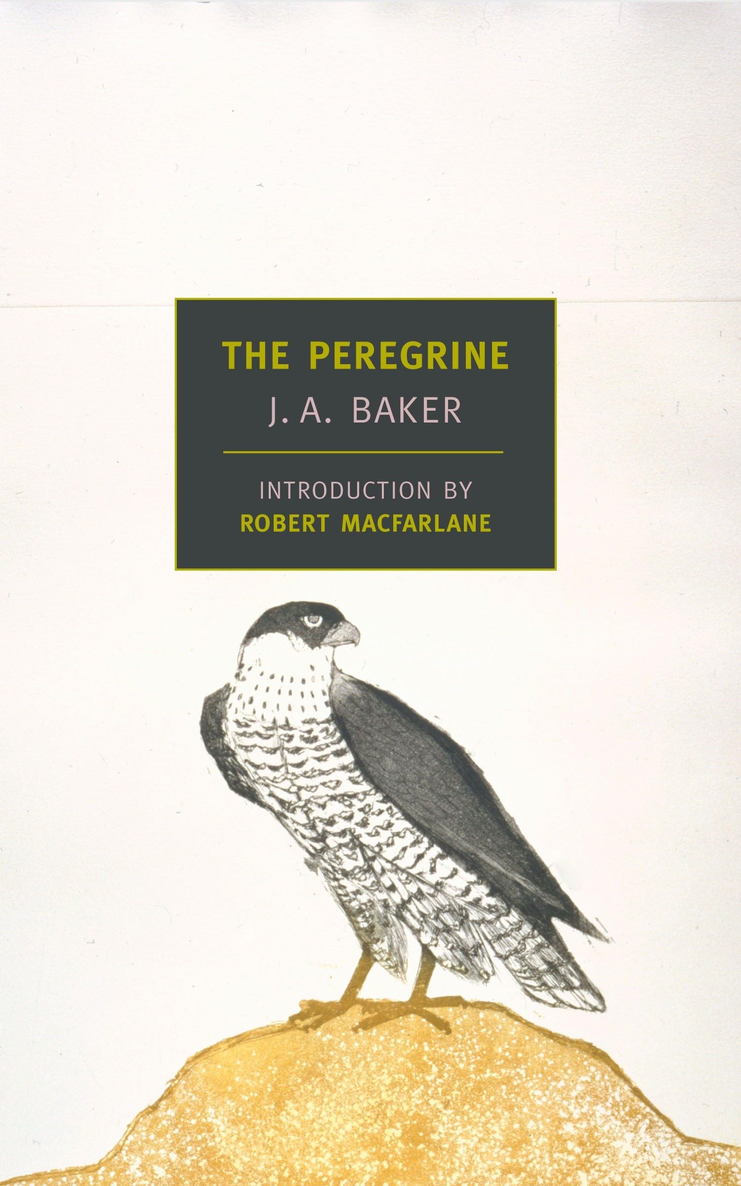 The Peregrine by J.A. Baker - New York Review Books Classics | Nature Writing & Bird Watching Literature | Perfect for Outdoor Enthusiasts and Book Collectors
