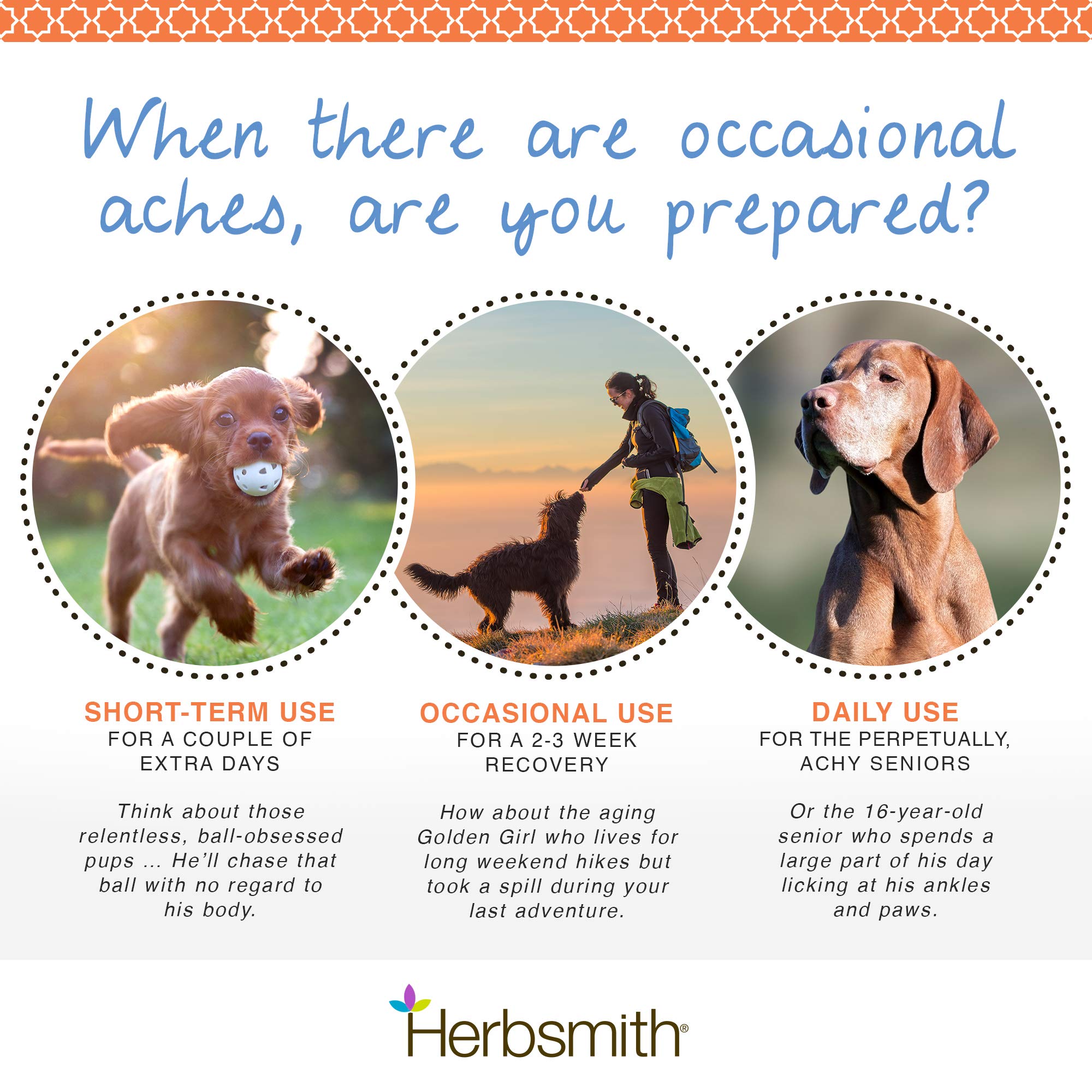 Herbsmith Comfort Aches – Natural Herbal Pain Relief for Dogs & Cats – Anti-Inflammatory Joint Supplement – 500g Powder – Soothes Arthritis, Hip Dysplasia & Post-Surgery Discomfort