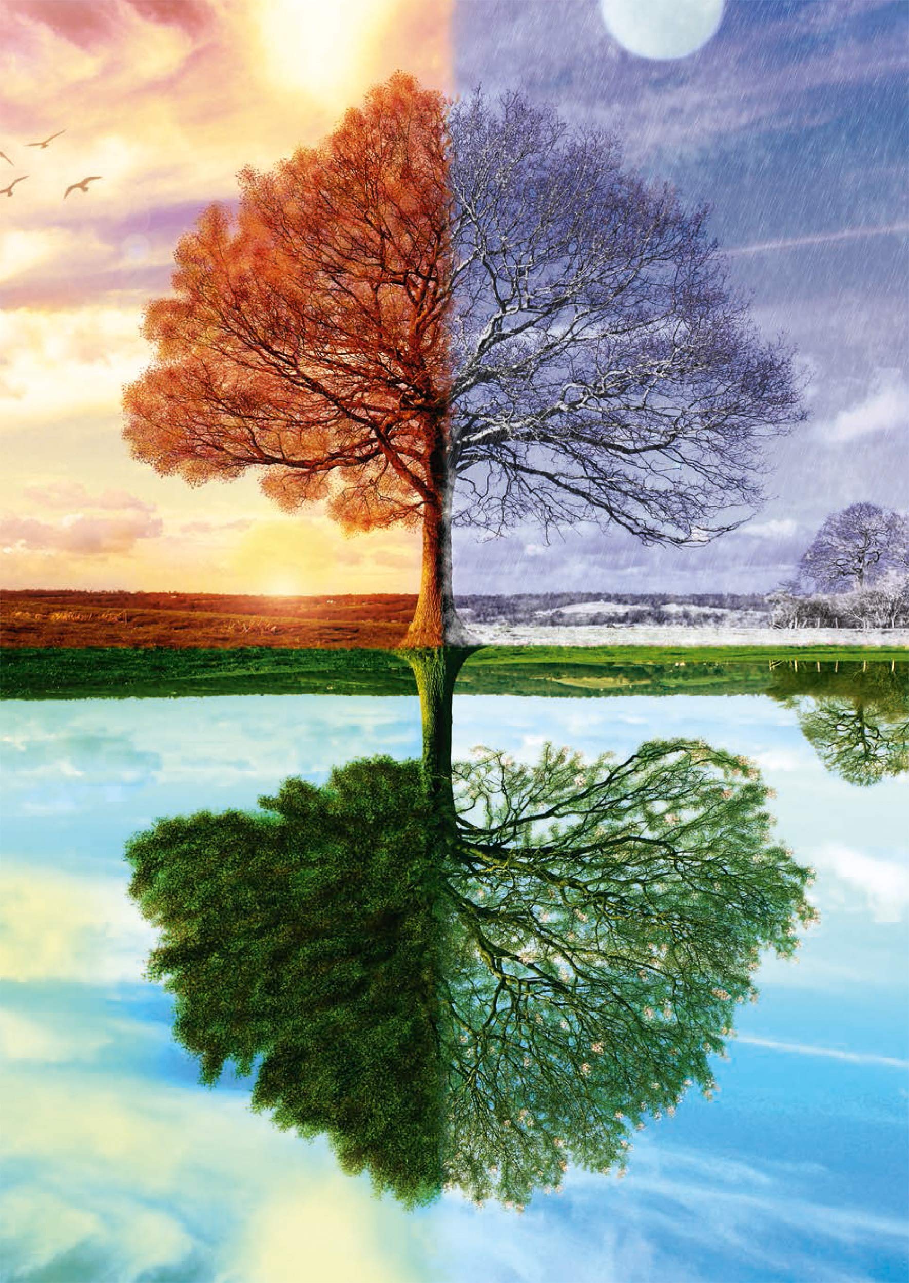 Schmidt The Seasons Tree Puzzle - 500 Piece Jigsaw Puzzle for Adults & Teens Ages 12+, Single Player Educational Puzzle - Perfect for Family Game Night, Classroom Activities & Stress Relief