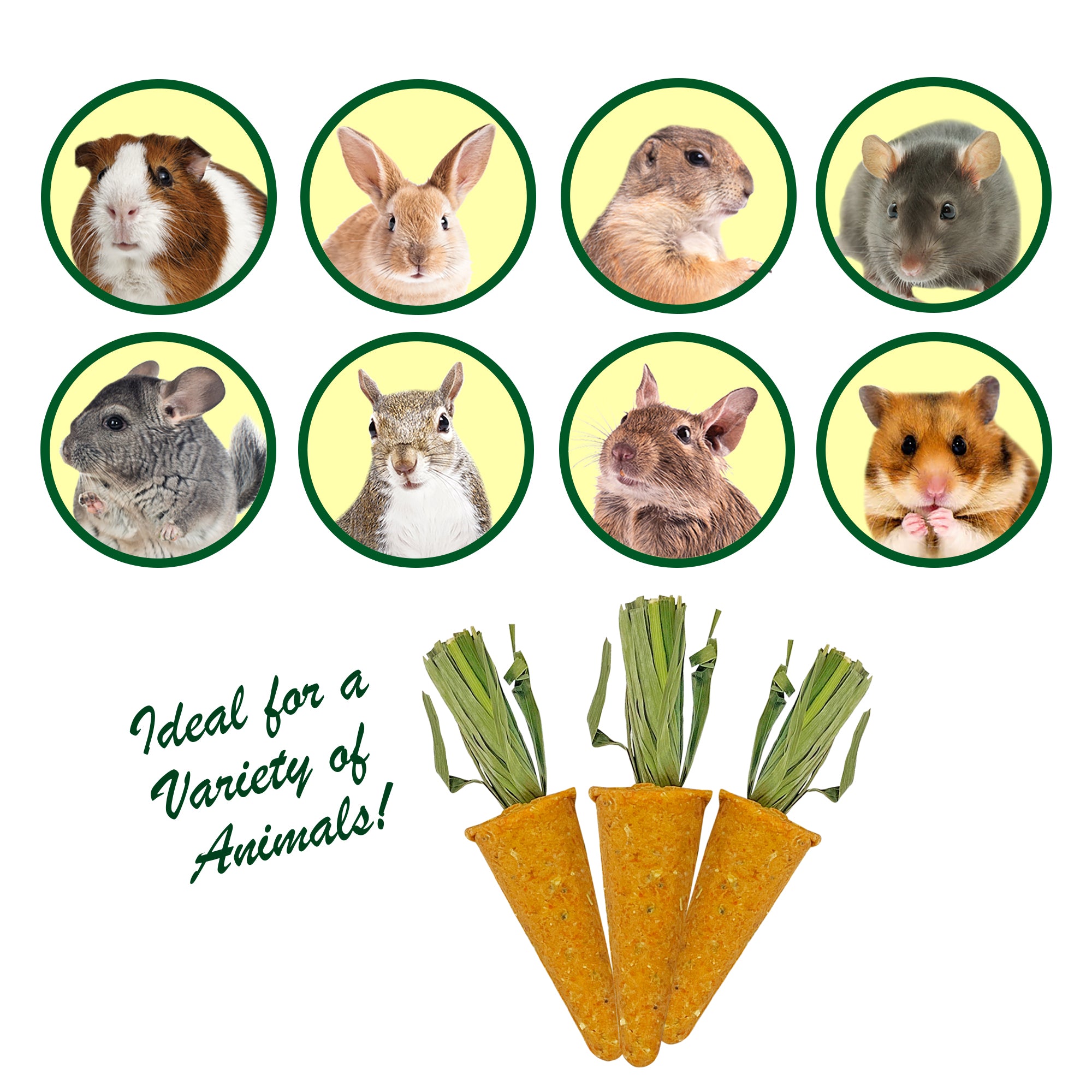 Fresh Organic Baby Carrots - Crunchy & Sweet Mini Carrots for Snacks, Salads & Healthy Eating | Perfect for Lunch Boxes, Veggie Trays & Kids Meals