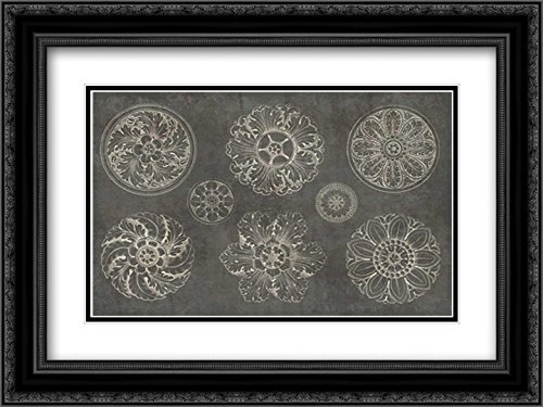 Wild Apple Portfolio 18x15 Black Ornate Framed Double Matted Museum Art Print - Rosette IX Gray Wall Decor for Living Room, Bedroom & Office