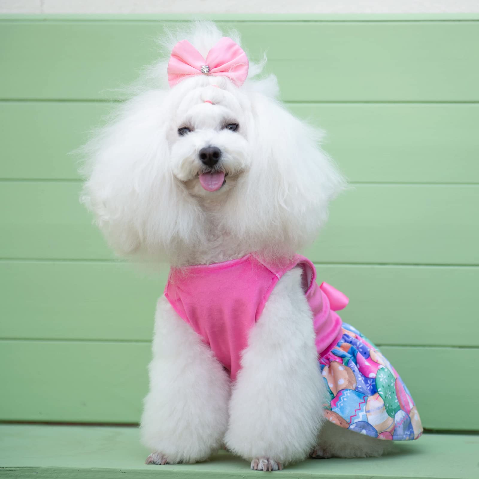 Happy Easter Dog Dress for Small Dogs - Velvet Pink Puppy Dress with CuteBone Design - Perfect for Easter Photos, Parties & Holiday Outfits (CVA18M-D)