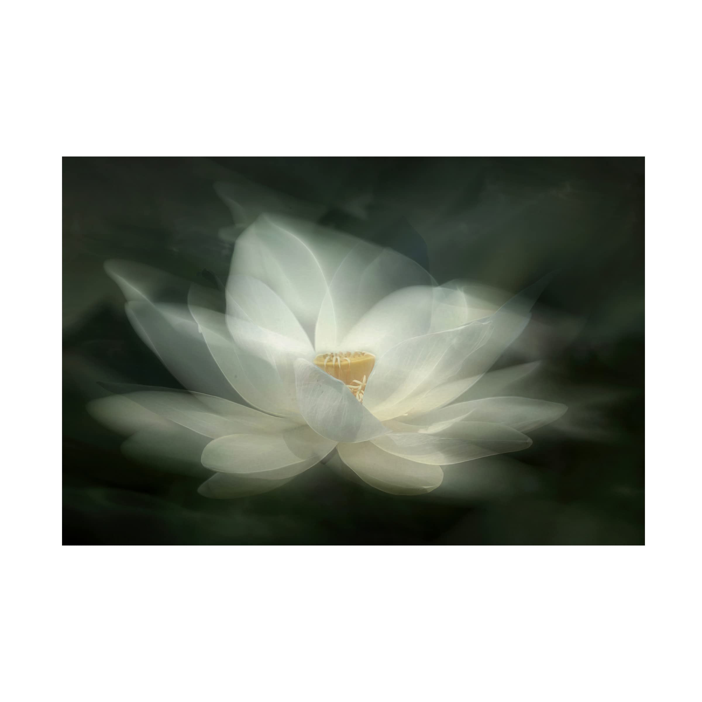 Trademark Fine Art 'Swaying' Canvas Wall Art by Qing Zhao - Elegant Abstract Painting for Living Room, Bedroom & Office Decor