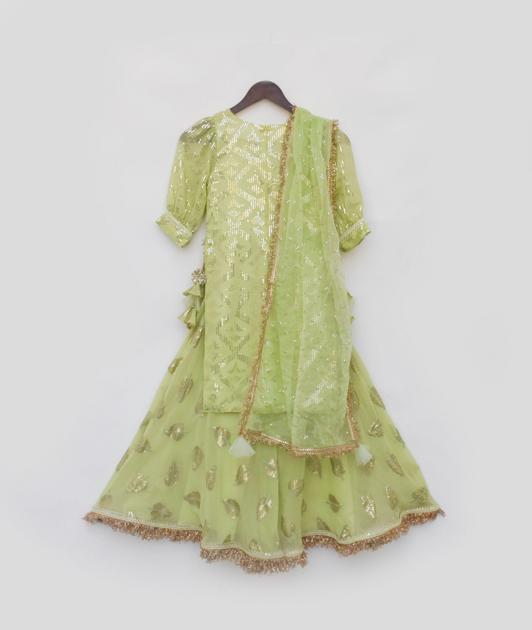 Pre Order: Stylish Pista Green Embroidered Kurti Sharara Set for Women – Perfect for Weddings, Festivals & Special Occasions