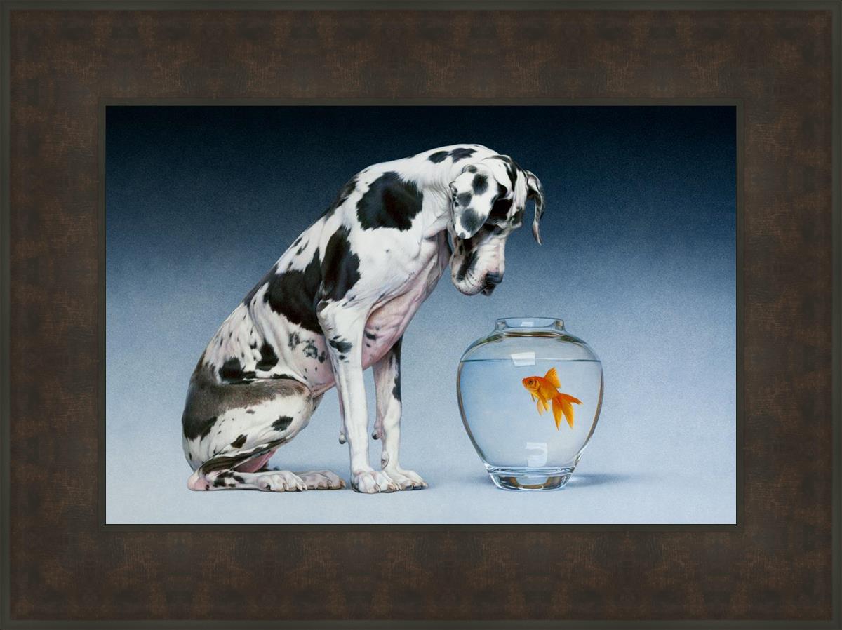 Dane And Fish By Chris Young - Premium Fishing Gear & Accessories for Outdoor Enthusiasts | Perfect for Freshwater & Saltwater Fishing Adventures