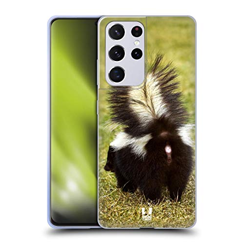 Striped Skunk