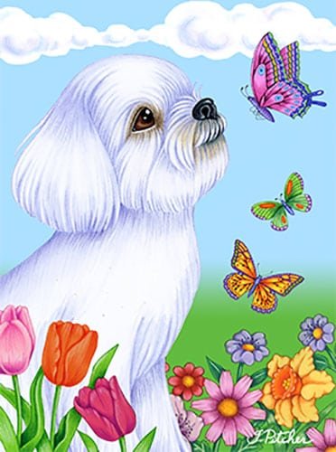 Best of Breed Maltese Butterfly House Flag - Decorative Garden Flag for Outdoor Patio, Yard, and Front Porch Decor