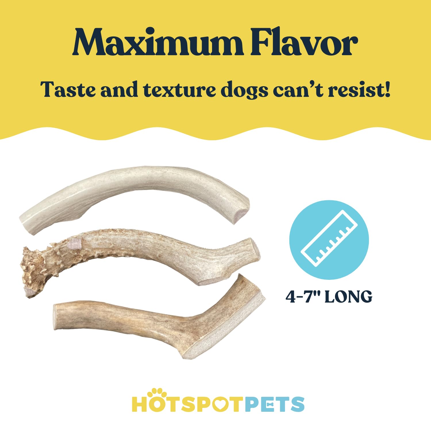 Premium Deer Antler Dog Chews - 6 Pack Natural Shed Antlers (4-7 Inch) for Small & Medium Breed Aggressive Chewers - Long Lasting Dog Bones Sourced in USA - Perfect for Teething Puppies, Dental Health & Outdoor Playtime