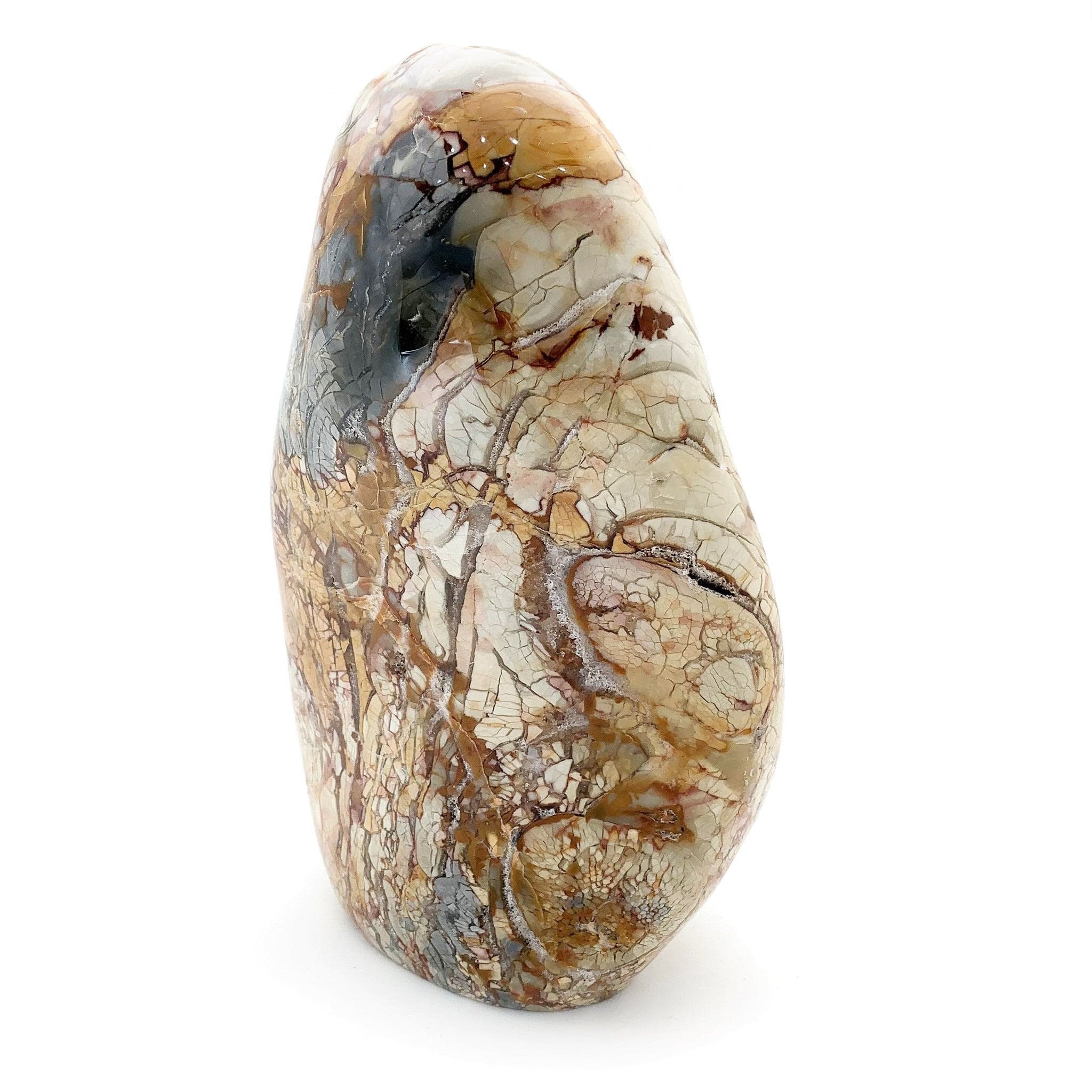 Jasper Ibis Freeform - Unique Handcrafted Ceramic Vase for Home Decor, Wedding Centerpiece, and Gift Ideas
