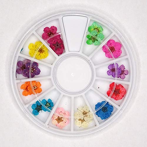 SHEBA NAILS Milk Bath Flower Acrylic Nail Art Kit - Professional DIY Manicure Set for Salon-Quality Nails at Home, Perfect for Parties, Weddings & Special Occasions