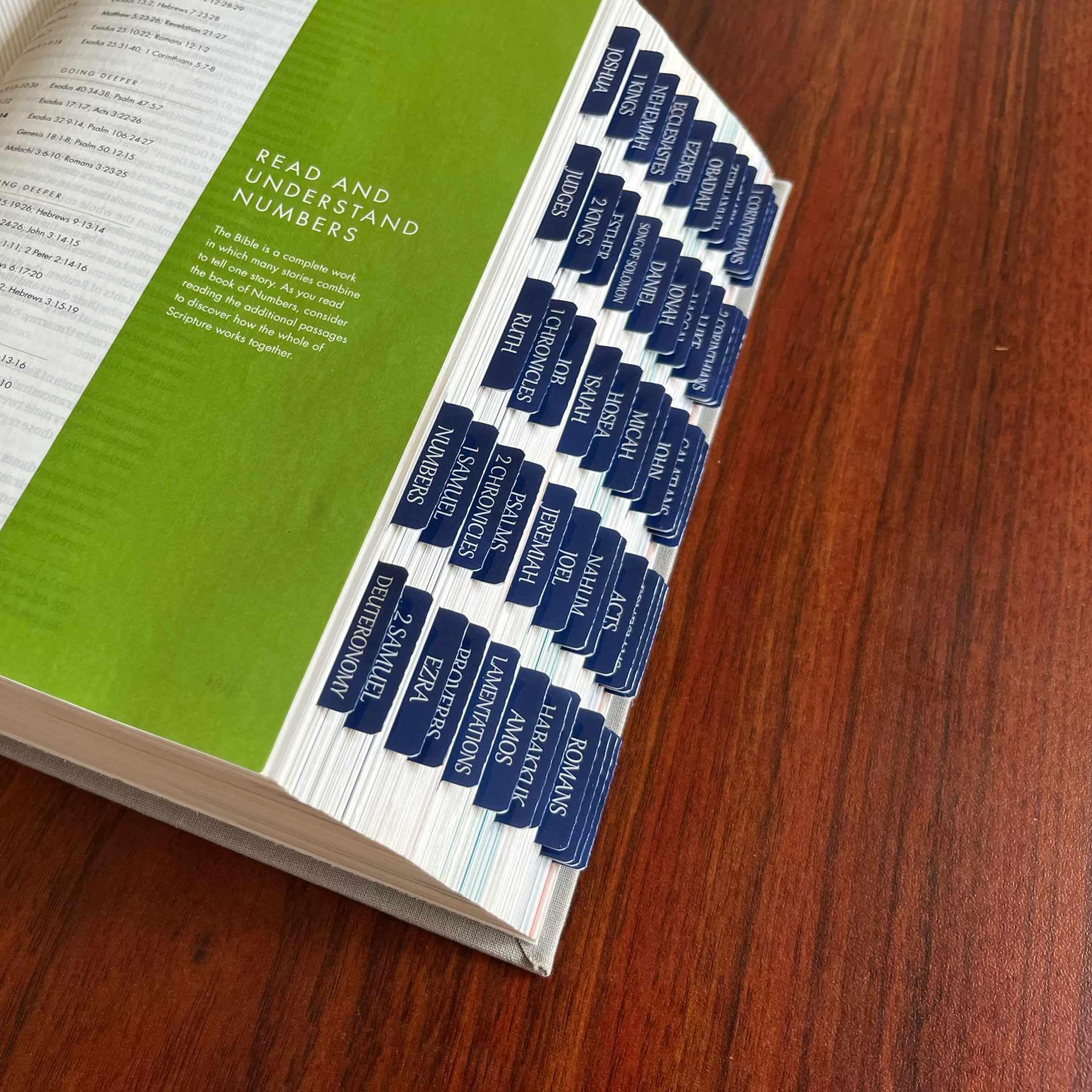 Laminated Bible Tabs - Large Print Repositionable Stickers for Easy Reading & Application | Durable Bible Index Tabs for Men & Women | Perfect for Bible Study, Church & Personal Devotion (Sapphire Blue)
