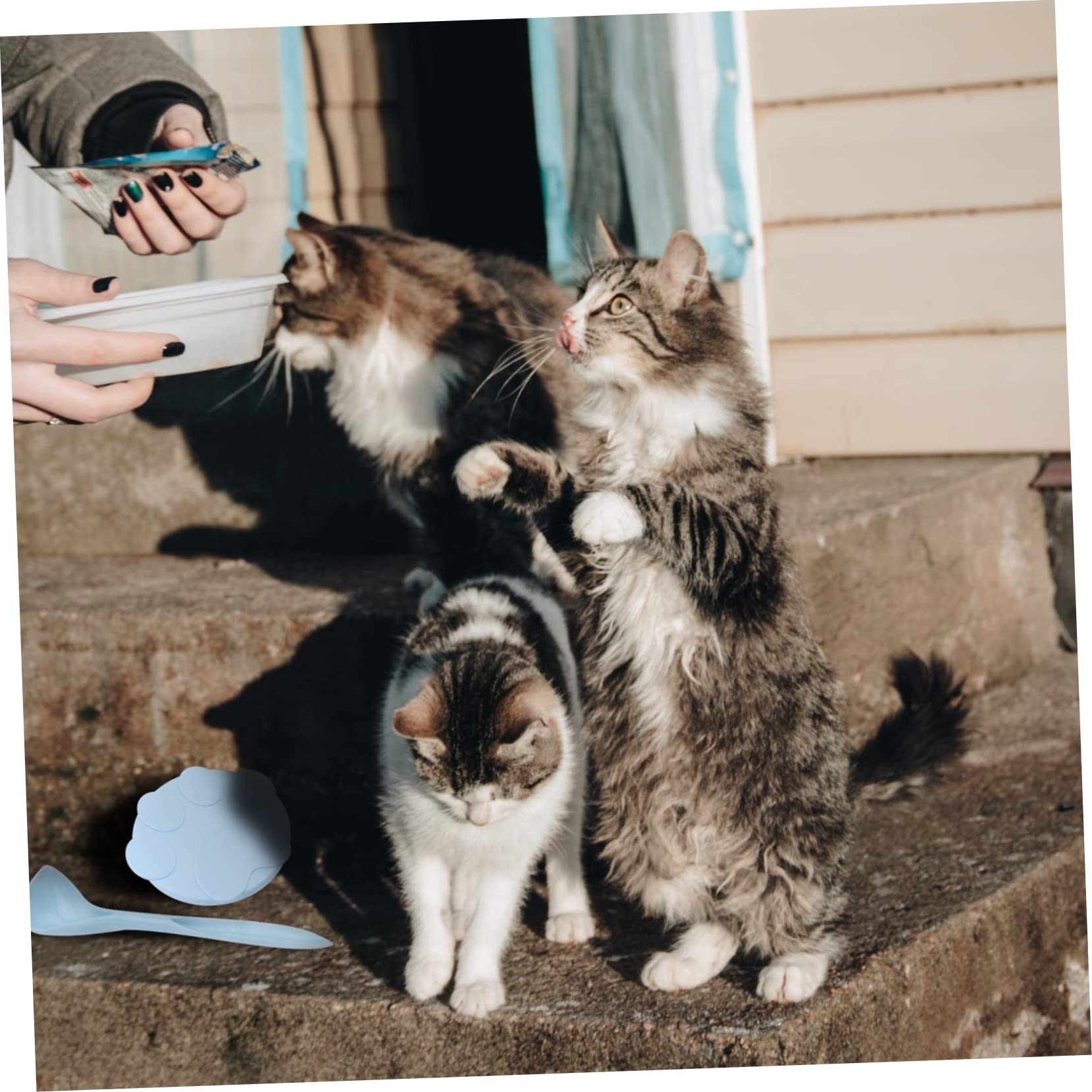 Silicone Pet Can Lid with Spoon - Cat Food Cover for Fresh Storage