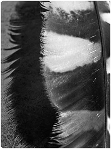 Feather Shadow III