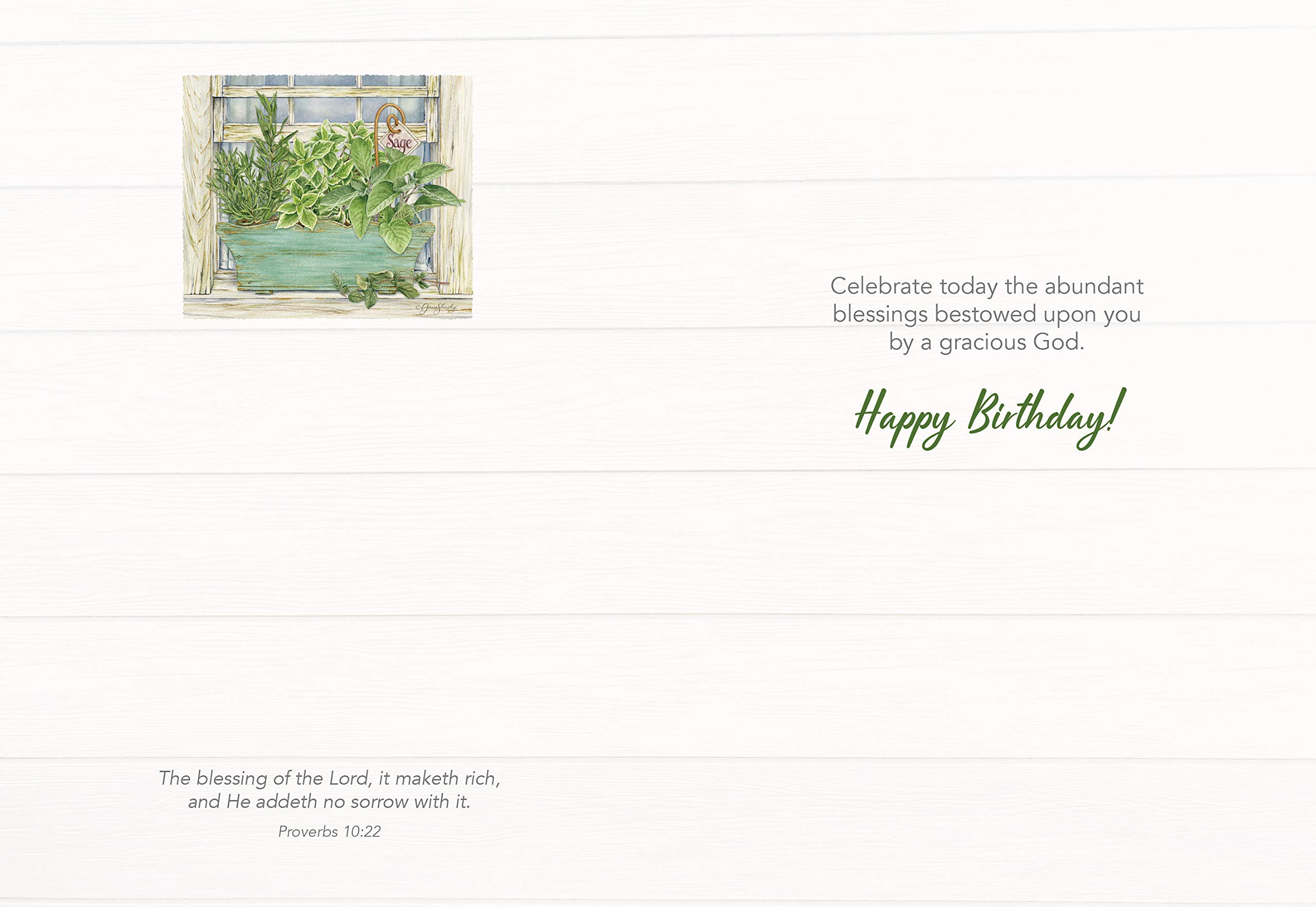 HTL Card Boxed Birthday Herb Garden Kit - Set of 12 Greeting Cards with Envelopes | Perfect for Birthday Gifts, Thank You Cards & Home Gardening Enthusiasts