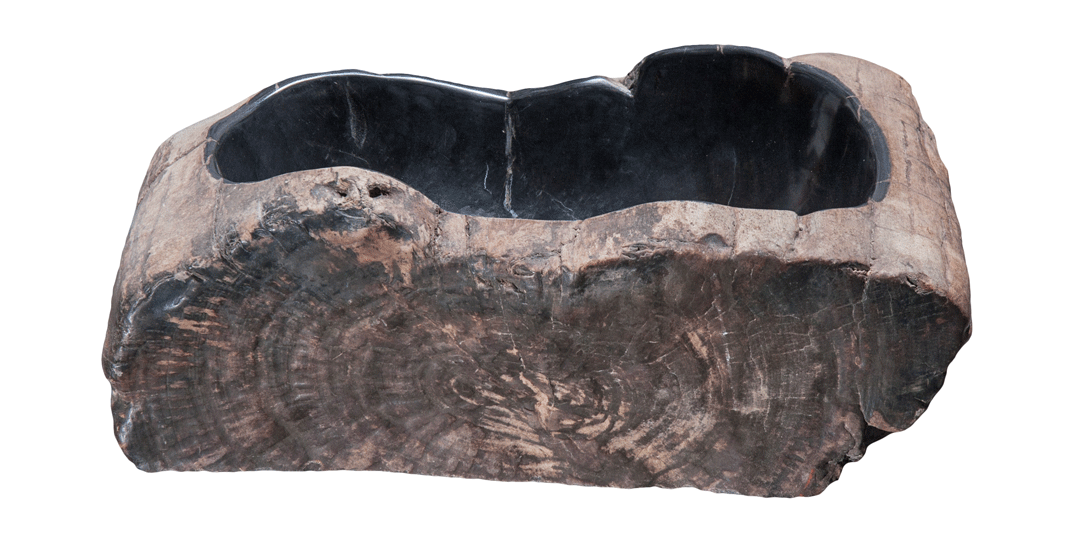 Natural Petrified Wood Bathroom Sink - 17