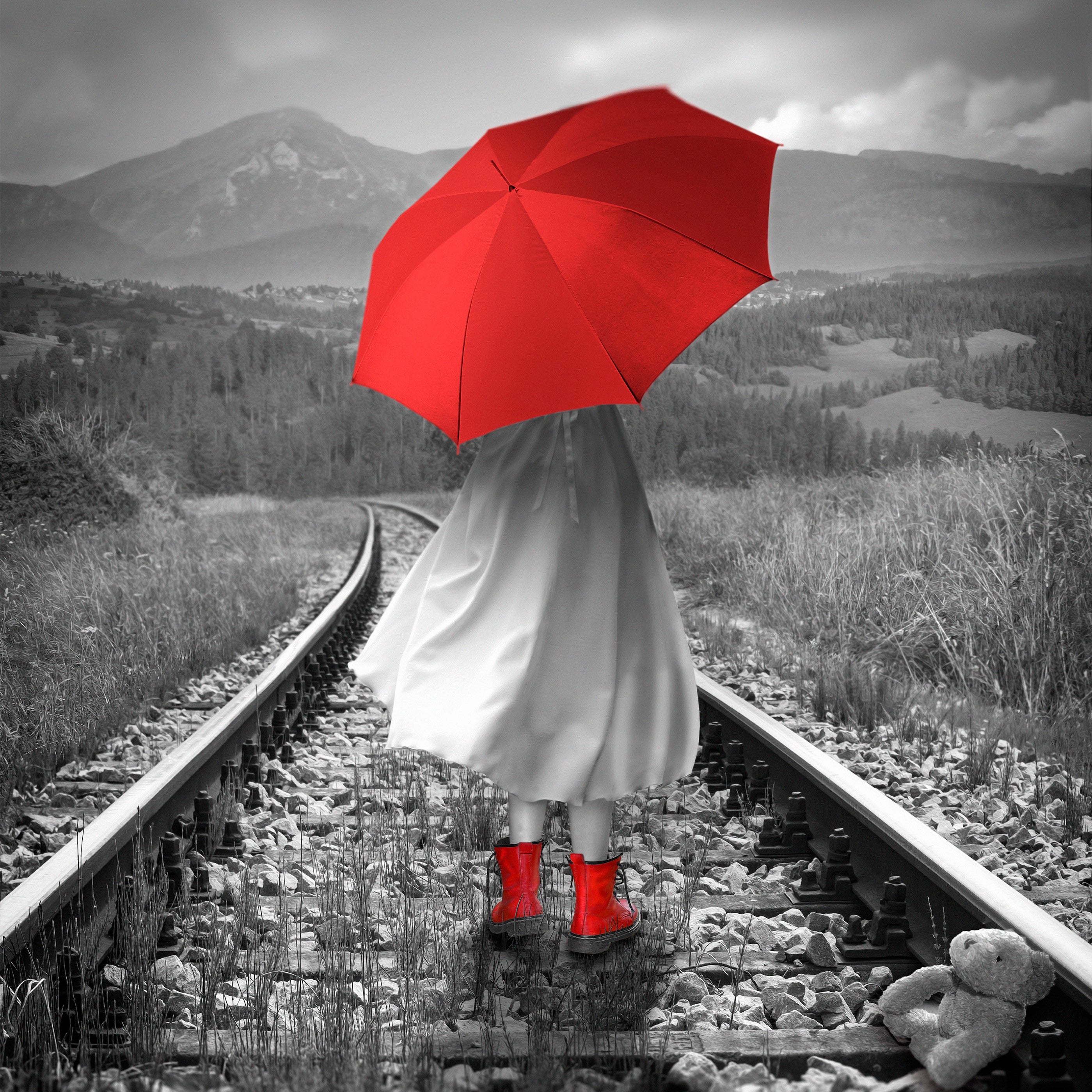 The Girl on the Train - Best Selling Mystery Thriller Novel by Paula Hawkins - Perfect for Book Clubs & Travel Reading