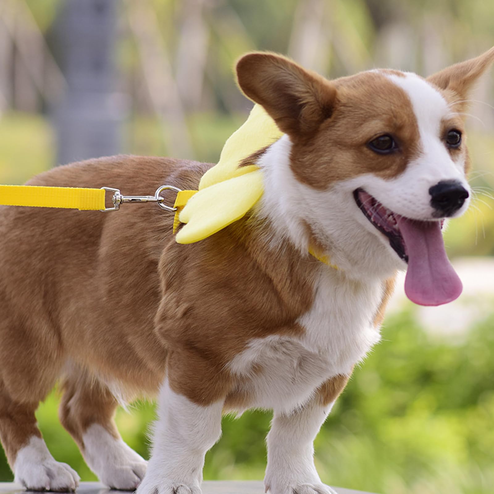 4 Pcs Adjustable Duck Walking Harness & Leash Set - Funny Pet Duck Accessories for Outdoor Training, Chicken, Goose & Hen (Large) - Perfect for Backyard Adventures, Farm Walks & Duck Training Sessions