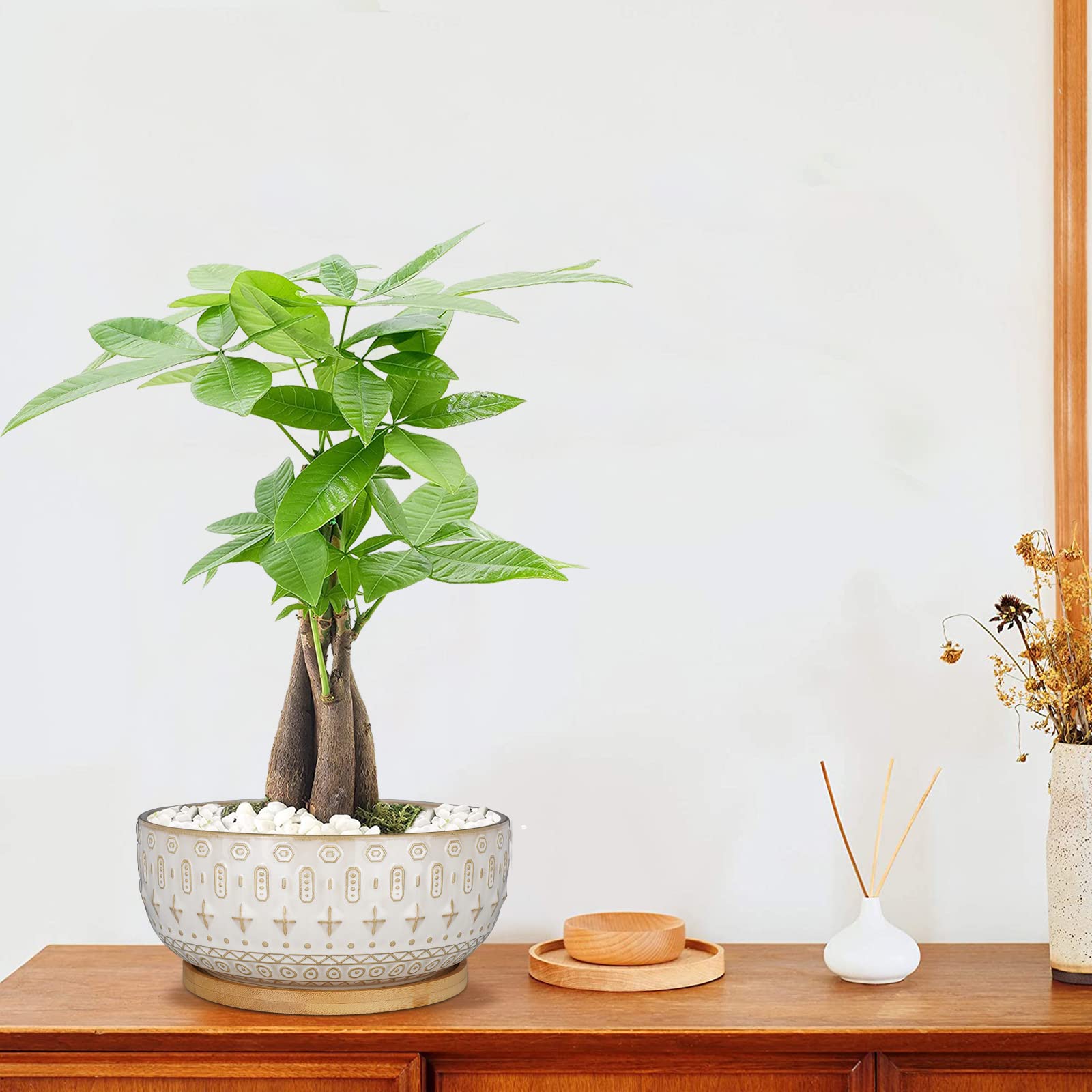 8 Inch White Ceramic Succulent Planter Pots with Drainage Hole - Round Shallow Bonsai Flower Pot with Bamboo Tray for Indoor Plants - Perfect for Home Decor, Office Desk, and Gift Ideas