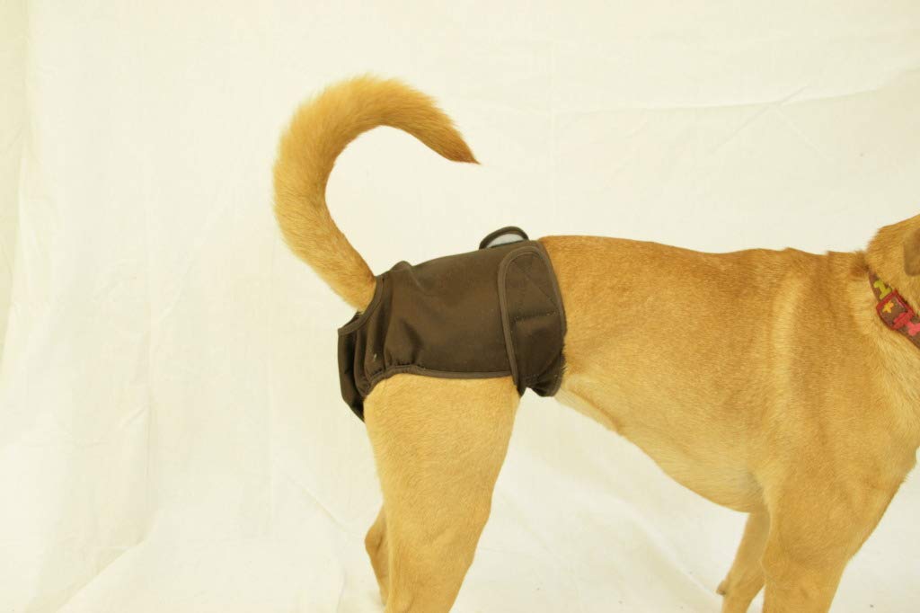 Washable Dog Diaper for Small Dogs - Adjustable & Reusable Pet Diapers for Squatty Body Breeds - Brown - Perfect for House Training, Incontinence & Travel Use