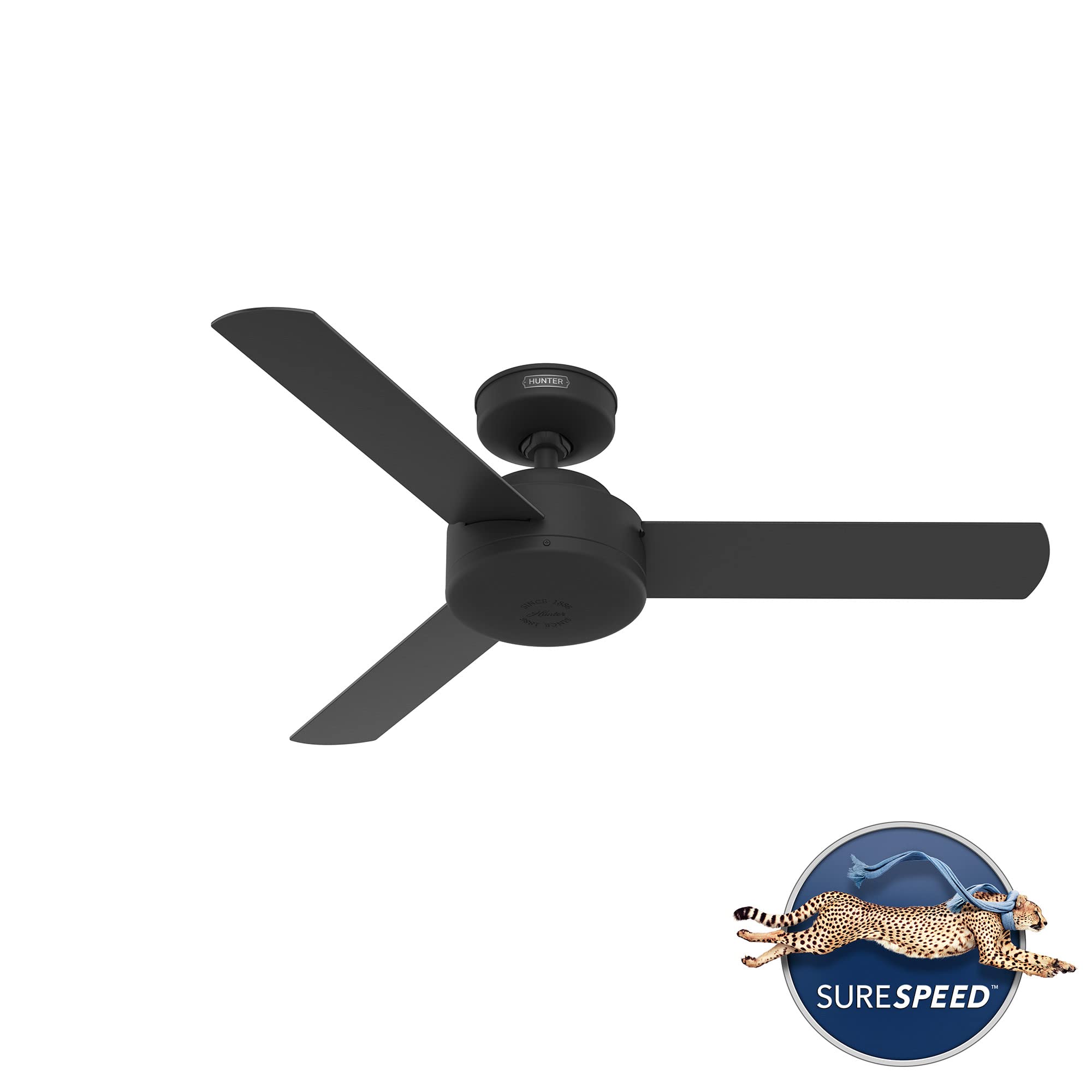 Hunter Fan Company 51847 Presto 44