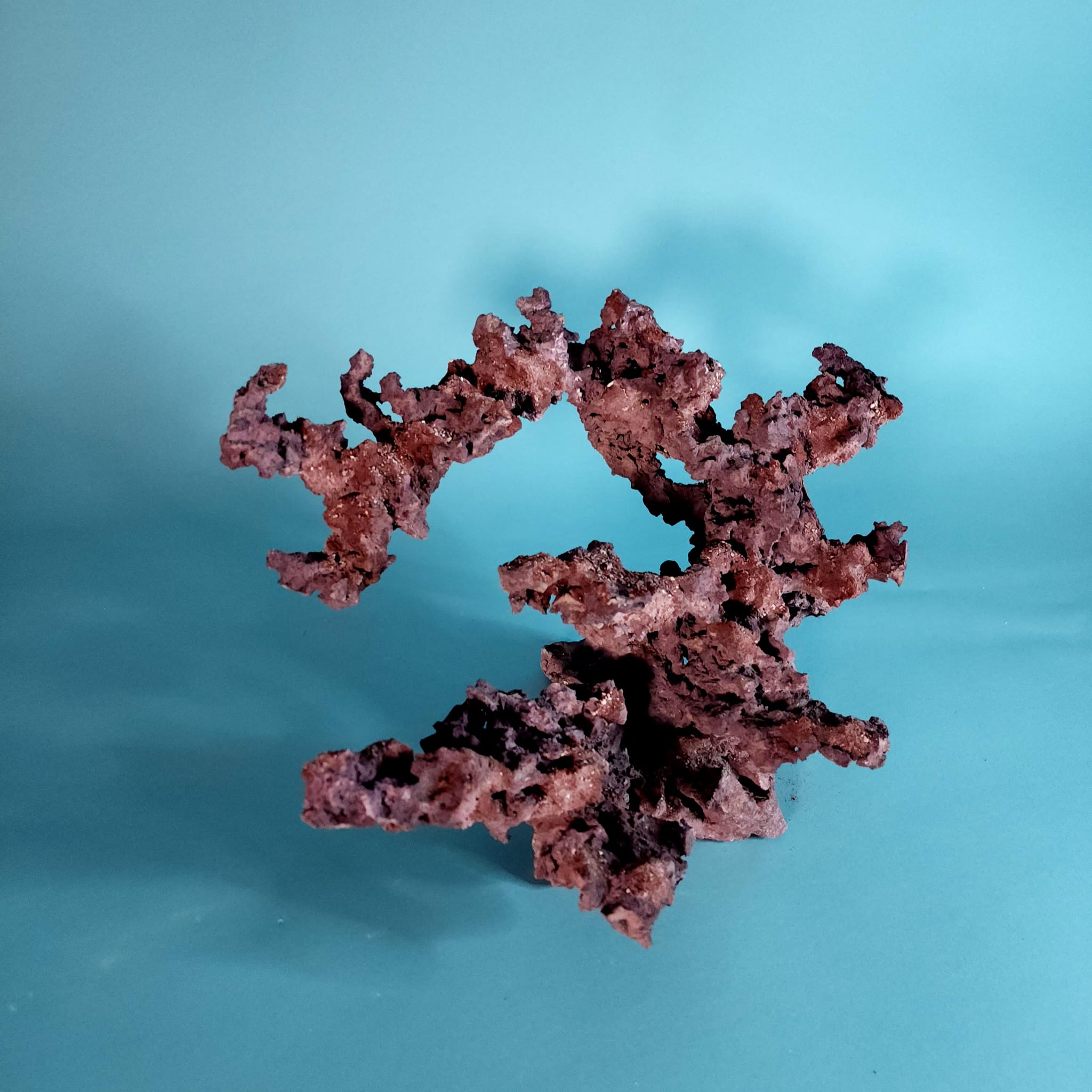 Premium Custom Dry Live Rock for Aquascaping - Natural Reef Aquarium Decoration #09 | Perfect for Saltwater Fish Tanks & Coral Displays