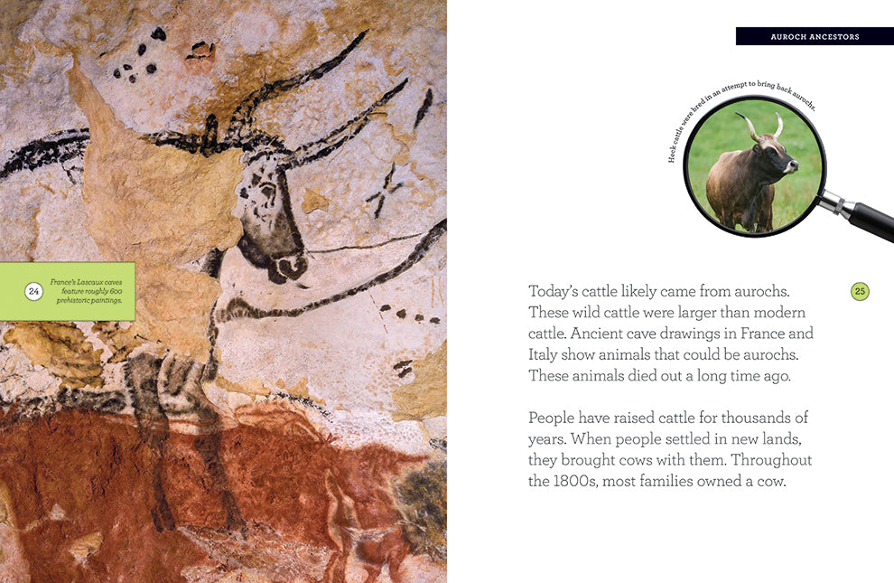 Cows Book by ISBN 9781640262300 - Perfect for Farm Animal Lovers & Educational Reading
