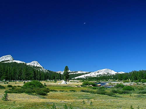 20x30 Inch Laminated Yosemite Valley California USA Wall Poster - Vibrant Colors & Stunning Landscape Art - Perfect for Home Decor, Office & Classroom Wall Art