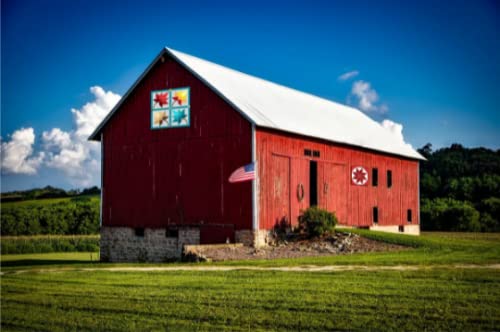 BARN Quilt Block Outdoor Square BQ029 - 23.5
