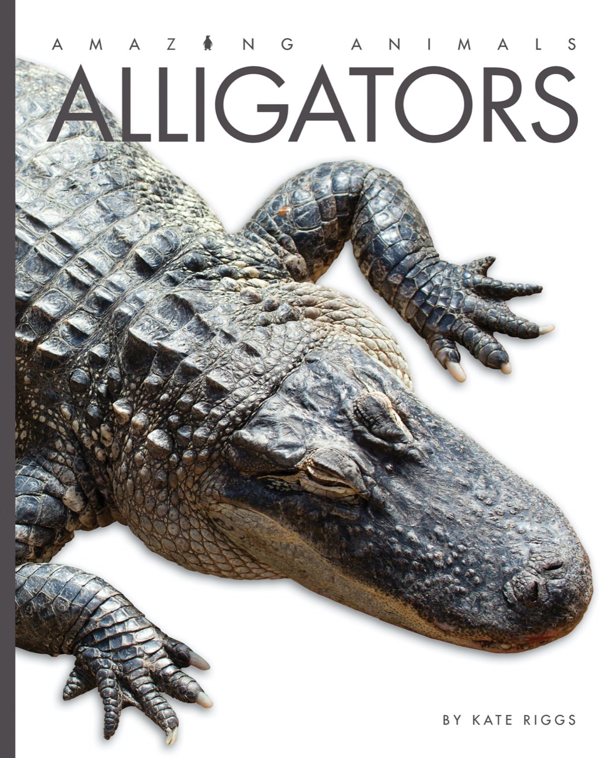 Amazing Animals (2014): Alligators - Educational Wildlife Documentary for Kids & Nature Lovers - Perfect for Classroom Learning & Family Movie Nights