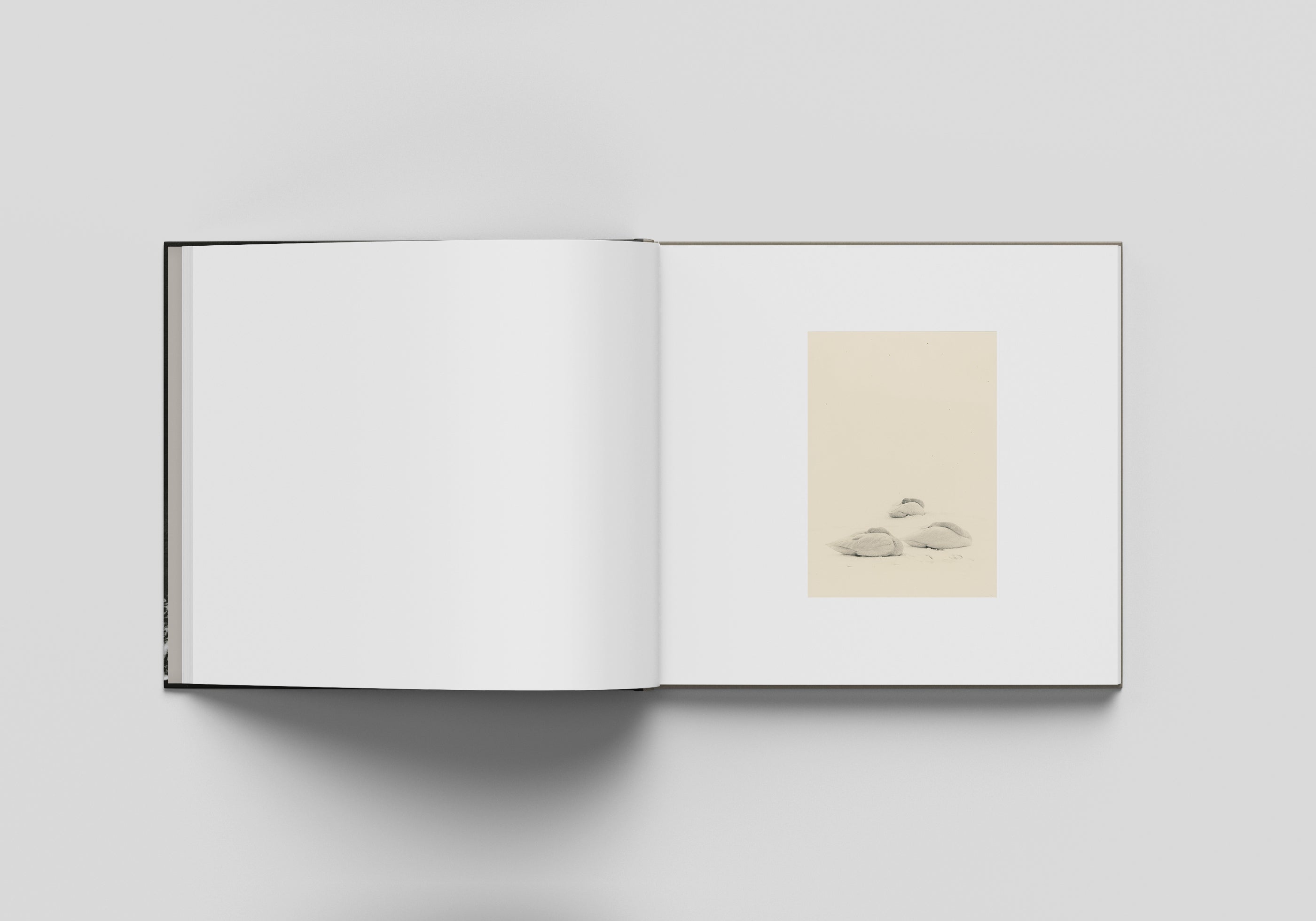 Masao Yamamoto Fine Art Photography Prints - Limited Edition Black & White Wall Decor for Home & Office