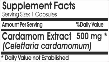 Pure Cardamom Extract 500mg - 100 Capsules | Natural Supplement for Digestion & Metabolism | by PureControl Supplements | Perfect for Cooking, Tea & Wellness Routines