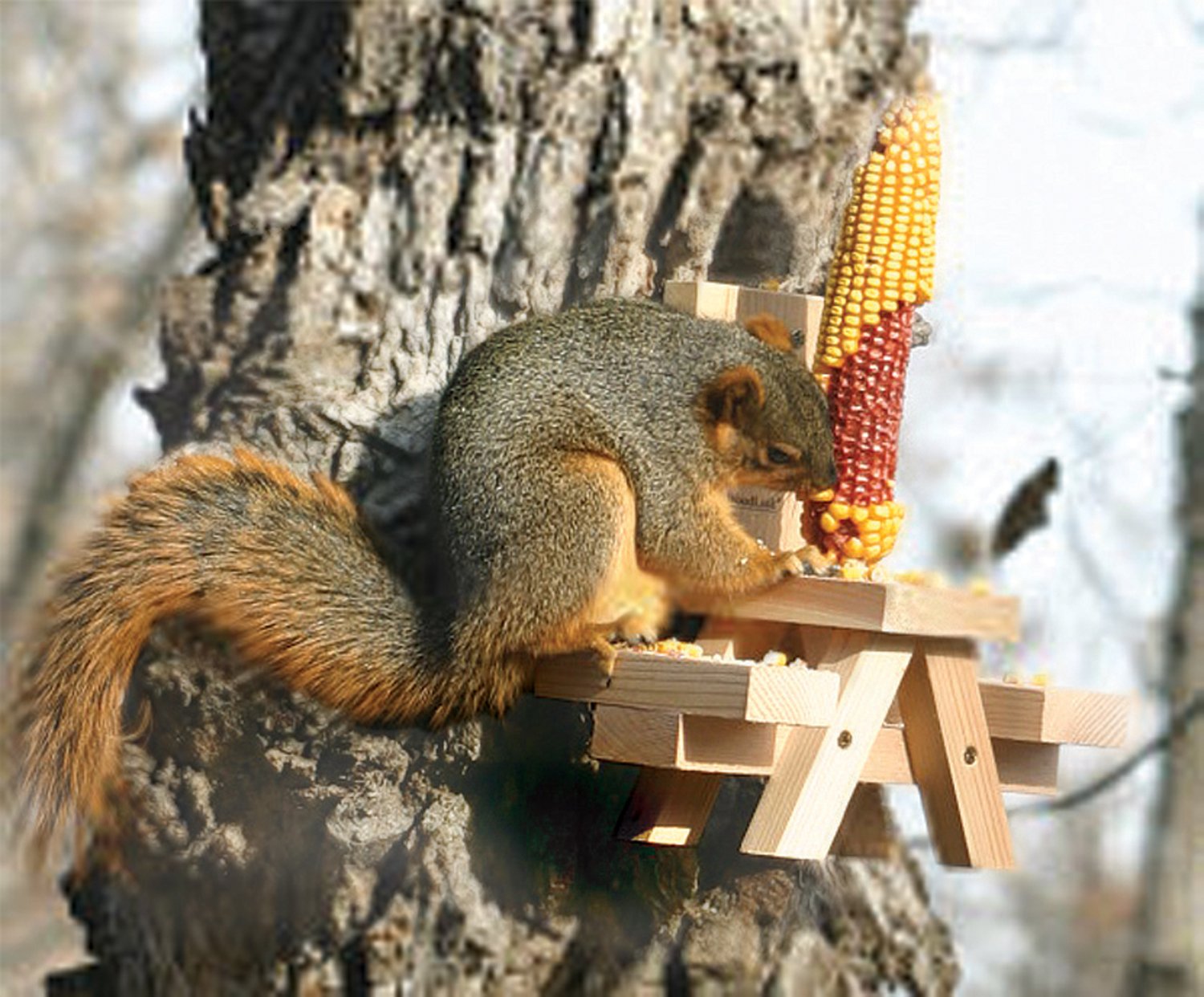 Woodlink Squirrel Feeder for Outdoor Picnic Tables - Durable & Weatherproof Squirrel Food Dispenser - Perfect for Backyards, Parks, and Camping Trips