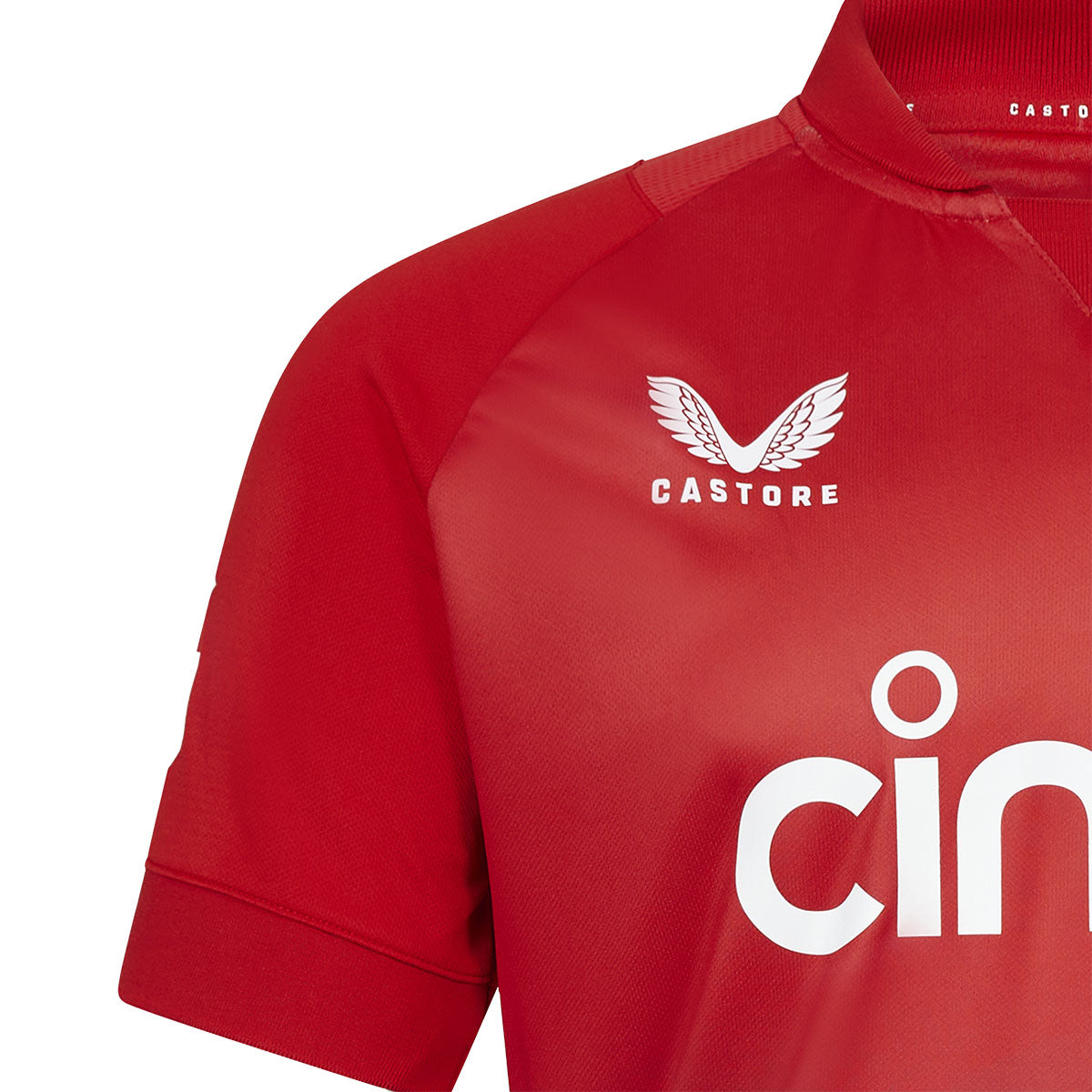ECB T20 Cricket Replica Short Sleeve Jersey Shirt - Official Style Men's Sports Tee for Cricket Matches & Fan Outfits