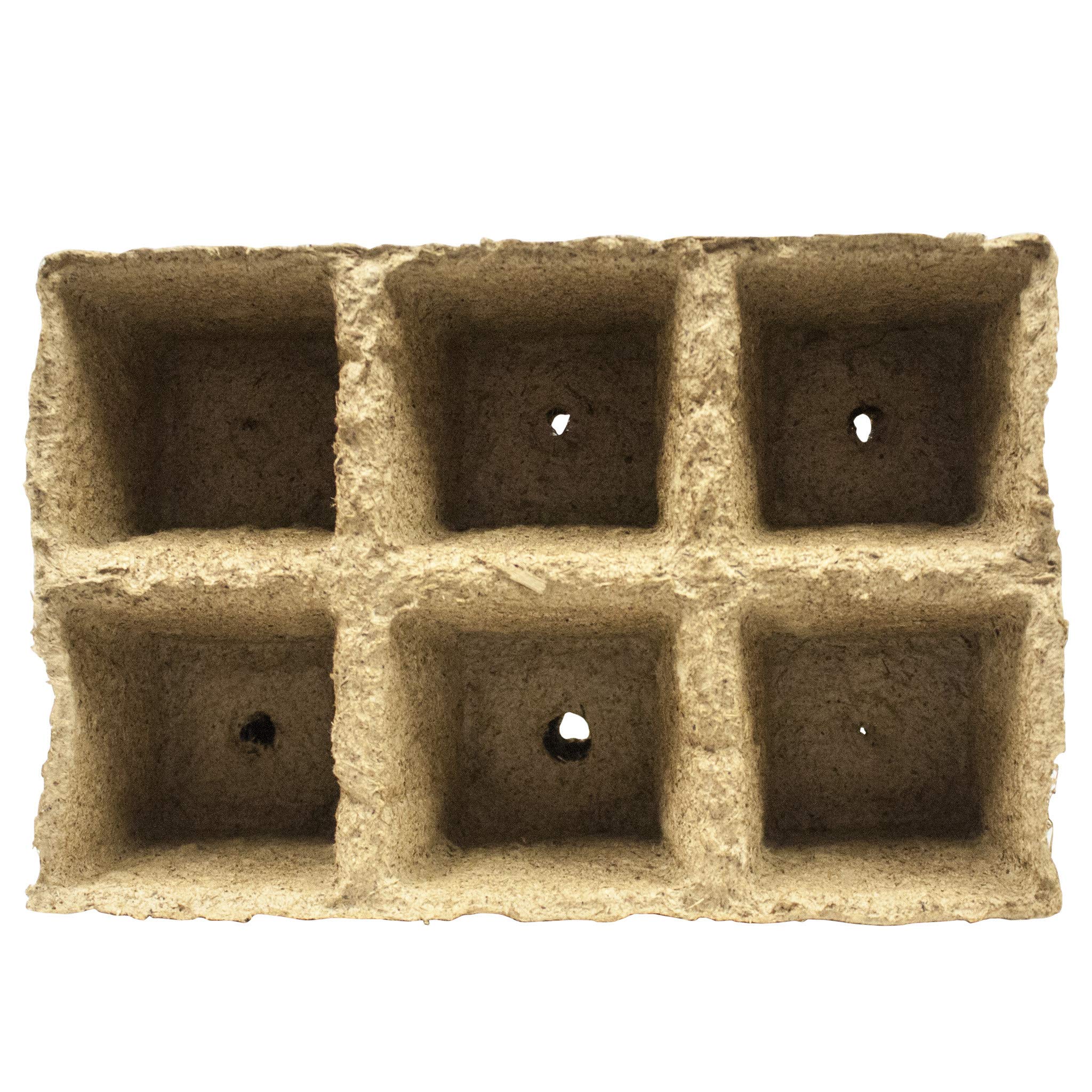 Seedling Starters & Sprout Pots - 6-Cell Tray, 6 Pack (36 Pots Total) for Indoor Gardening, Seed Germination, and Plant Propagation