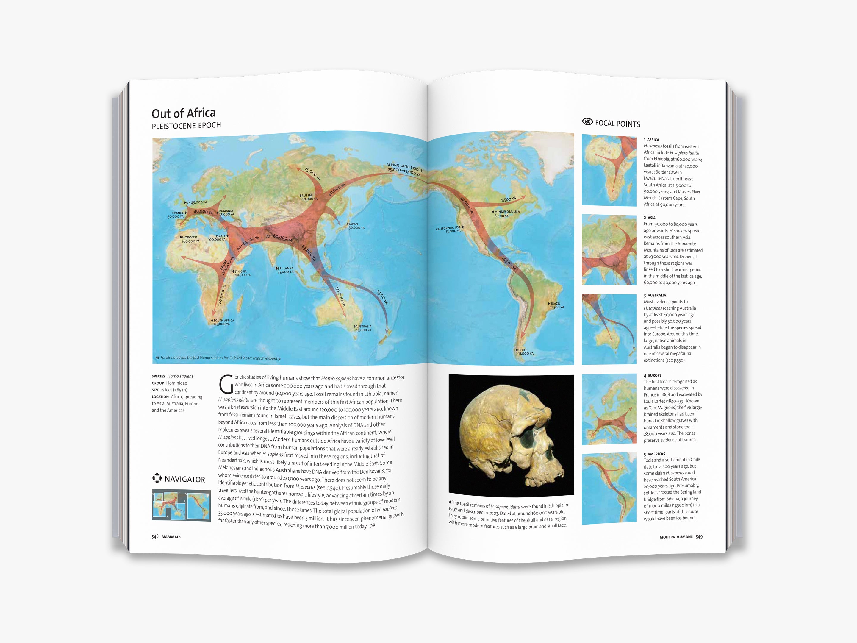 Evolution: The Complete Guide - Explore the Fascinating Story of Life's Development | Perfect for Science Enthusiasts, Students & Educators