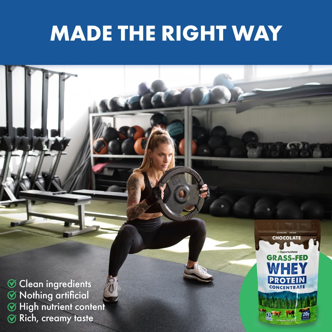 Grass Fed Whey Protein Powder Concentrate - Chocolate Flavor - Pure Protein Supplement for Muscle Recovery & Growth - Non-GMO, Hormone Free, Gluten Free - 1lb - Perfect for Post-Workout Shakes & Healthy Smoothies