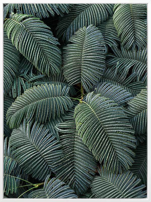 Beyond Canvas Art Print - High-Quality Wall Decor for Living Room, Bedroom & Office | Perfect for Home & Office Decor