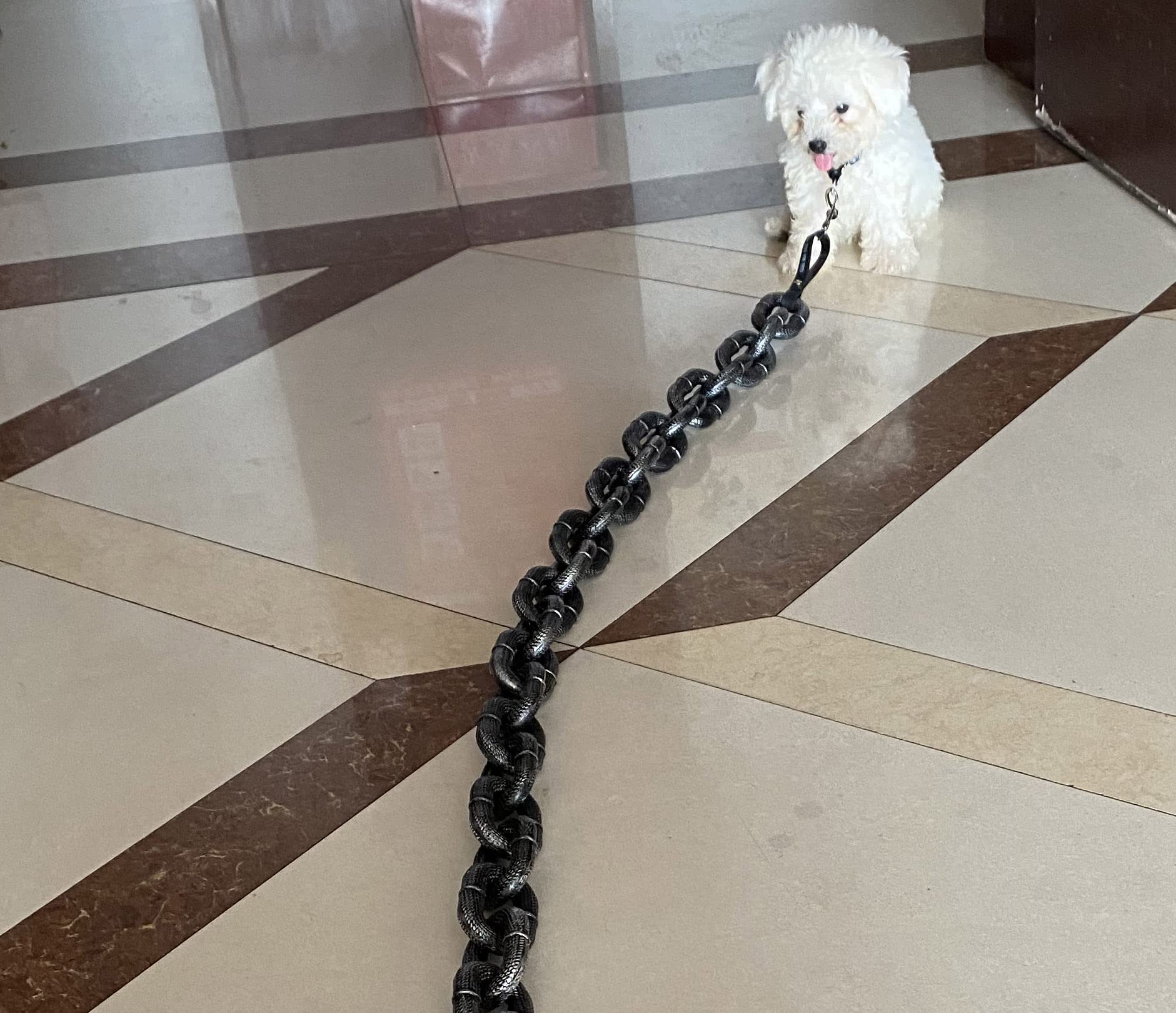 Funny Fake Big Dog Chain Leash - Durable Plastic Material Imitating Iron Chains - Perfect for Small Dogs, Cats & Puppies (Chihuahua, Teddy, Poodle, Papillon) - Includes Adjustable Puppy Collar - Great for Costume Parties, Pet Photos & Playtime