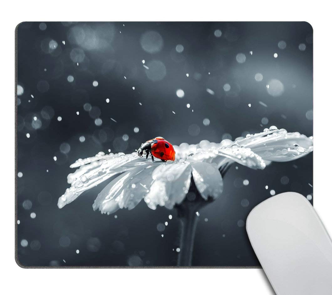 Custom Smooffly Office Decor Mouse Pad - Ladybug on Daisy Flower Design, Non-Slip Rubber Gaming Mouse Pad for Computer & Laptop | Perfect for Work, Gaming & Home Office Setup