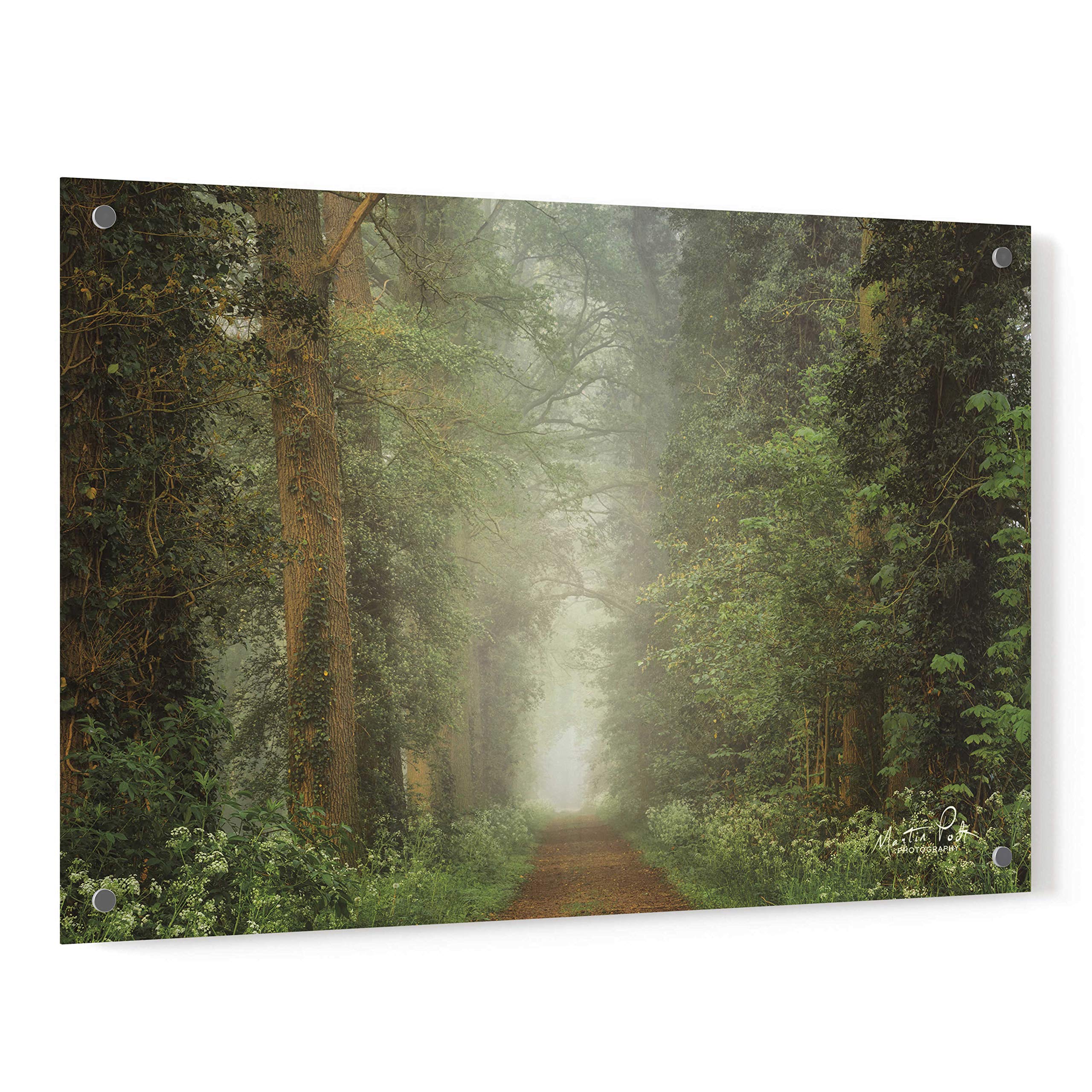 Martin Podt 'Misty Spring Road' Acrylic Glass Wall Art - 36x24 Inches Modern Landscape Painting for Living Room, Bedroom & Office Decor