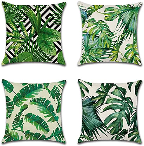 Planta Tropical A