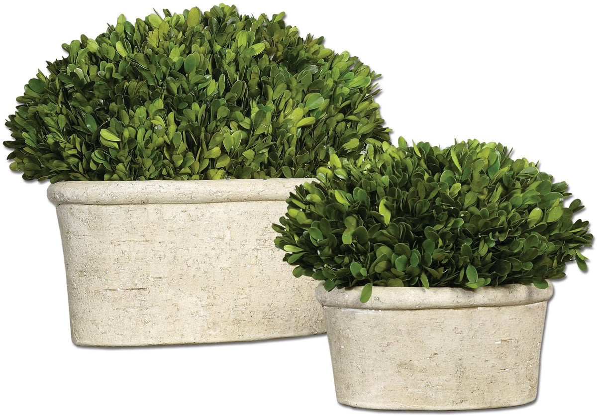 12H Oval Domes Botanical Mossy Stone - Perfect for Fairy Gardens, Terrariums & Miniature Landscapes