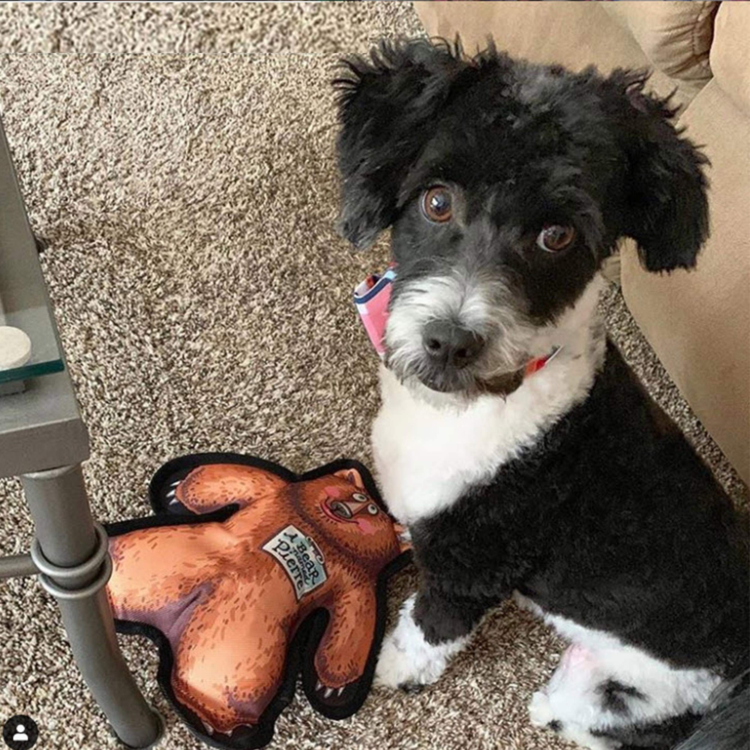 Durable Squeaky Dog Chew Toy - FUZZU Wild Woodies Bear Pierre Dog Toy for Medium Dogs (9 Inch) | Tough & Rugged Chew-Resistant Design | Perfect for Playtime, Training & Teething Relief