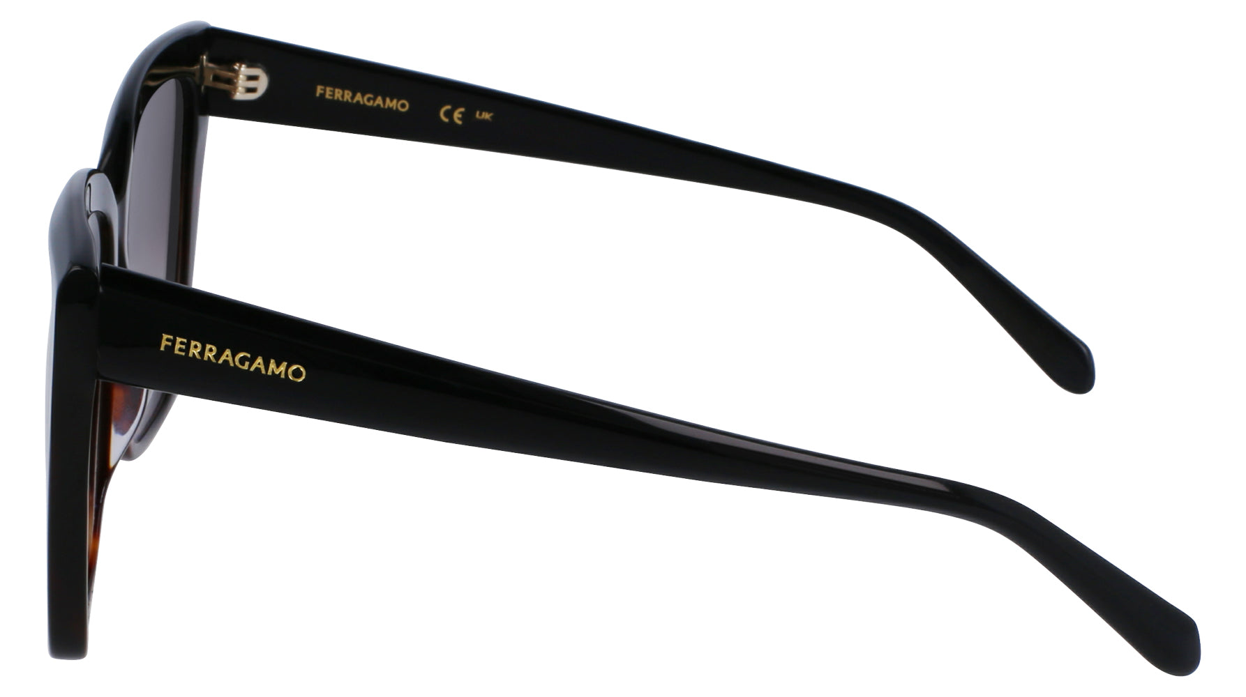 Ferragamo SF1102S Sunglasses for Women - Luxury Designer Shades with UV Protection - Perfect for Outdoor Activities, Travel & Fashion Accessories
