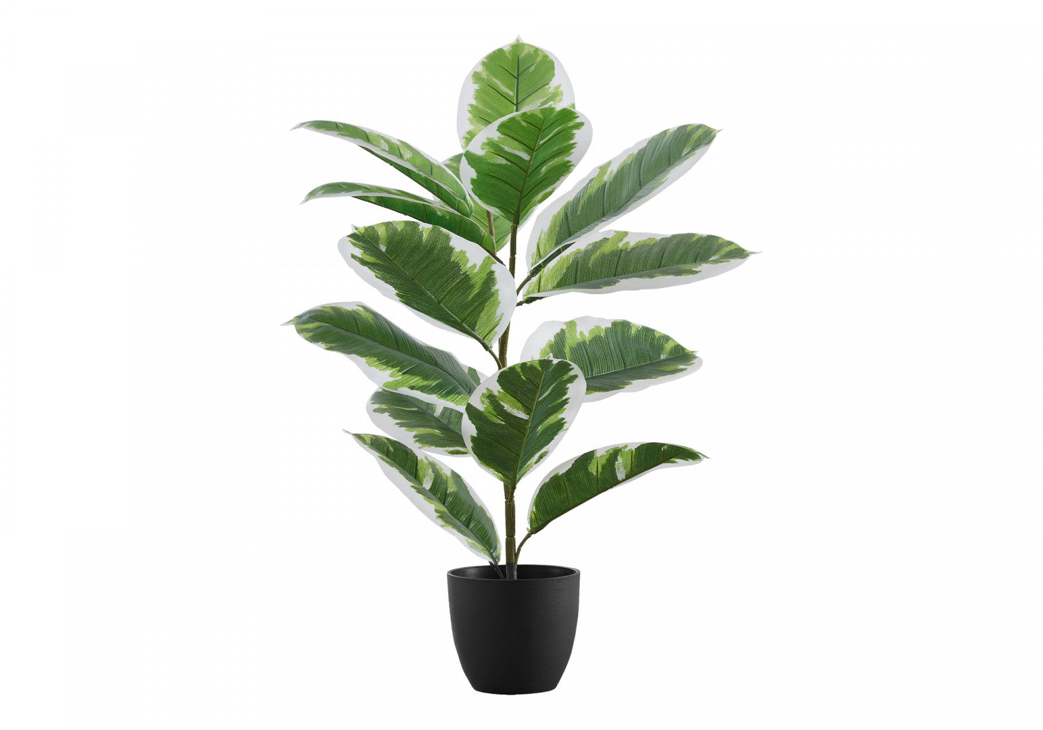 27 Inch Ficus Elastica Rubber Plant in 5 Inch Black Pot - Indoor Houseplant for Home, Office, and Living Room Decor