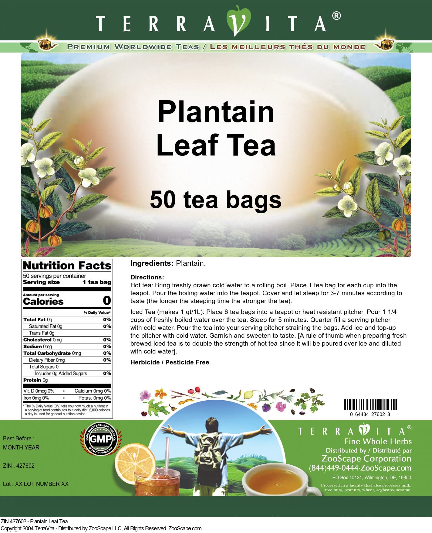 Organic Plantain Leaf Tea - 50 Tea Bags (2 Pack) | Herbal Wellness & Detox | Perfect for Relaxation, Digestion & Immune Support
