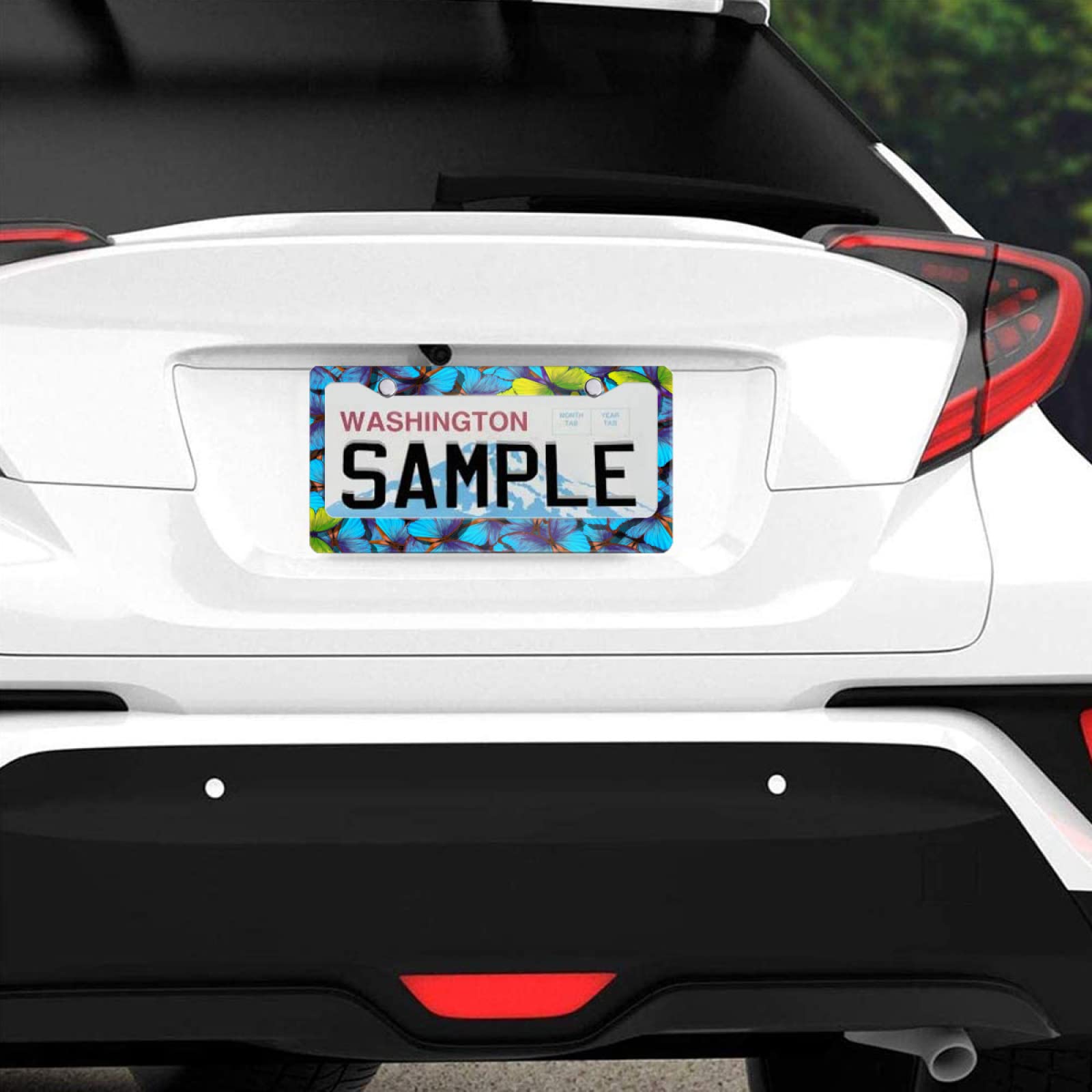 Blue Butterfly Decorative Car License Plate Frame - Aluminum Customized License Plate Cover for Men & Women - US Canada Standard 12