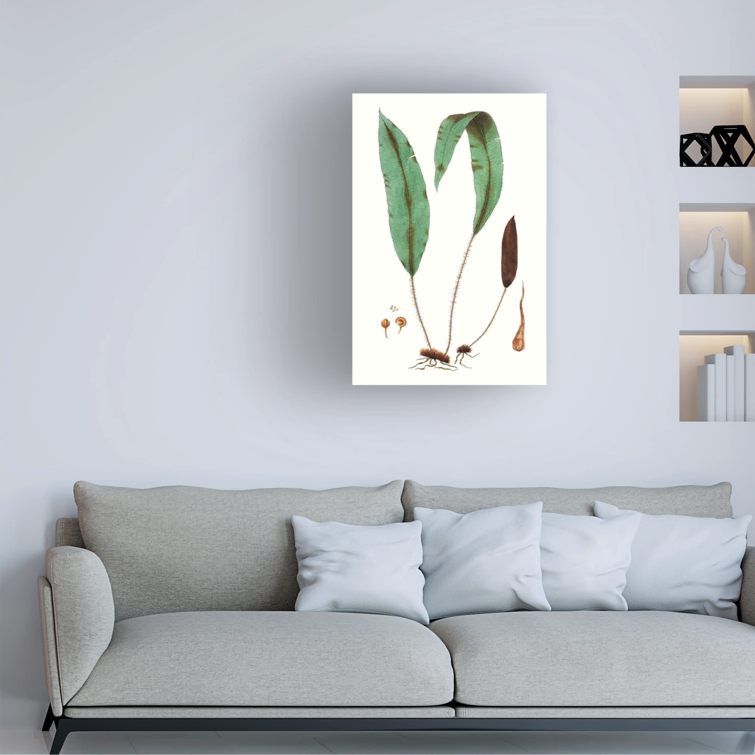 Trademark Fine Art 'Fern Foliage III' Canvas Wall Art Print by Vision Studio - Nature Inspired Botanical Decor for Living Room, Bedroom & Office