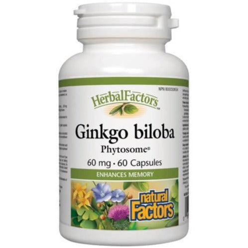 Natural Factors Herbal Factors Ginkgo Biloba Phytosome 60mg - 60 Capsules for Memory & Brain Support - Enhance Focus & Cognitive Function for Students & Professionals