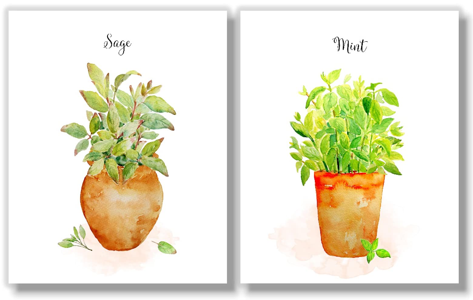 Farmhouse Kitchen Wall Art - Set of 7 Herb Prints in Pots, 8x10 Unframed Botanical Prints for Home Decor | Perfect for Country Style Kitchens, Dining Rooms & Cottage Interiors